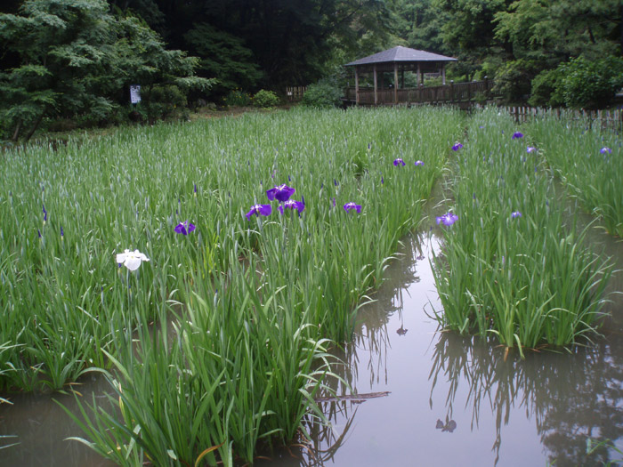 小雨の中！_c0110361_15291956.jpg