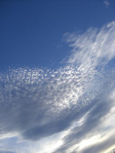 f0142862_23194638.jpg