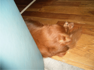 a0014067_0474011.gif