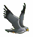 f0073569_217861.gif