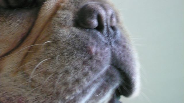 f0143269_11331599.jpg