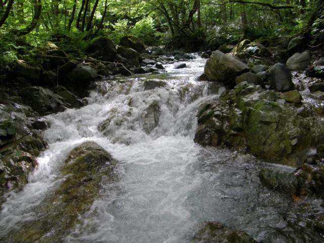 d0134473_14505479.jpg