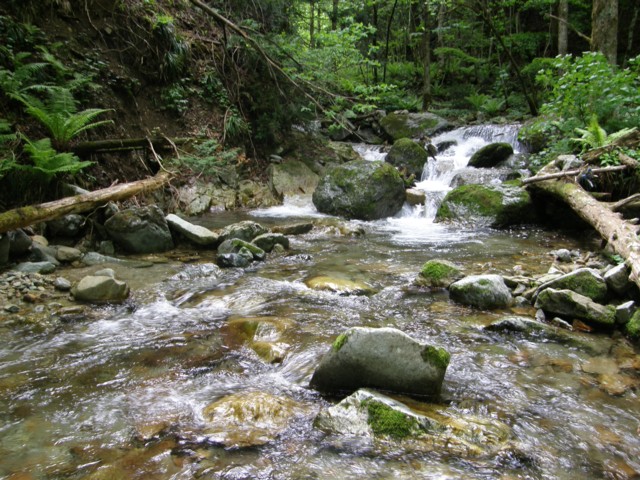 d0134473_14592913.jpg