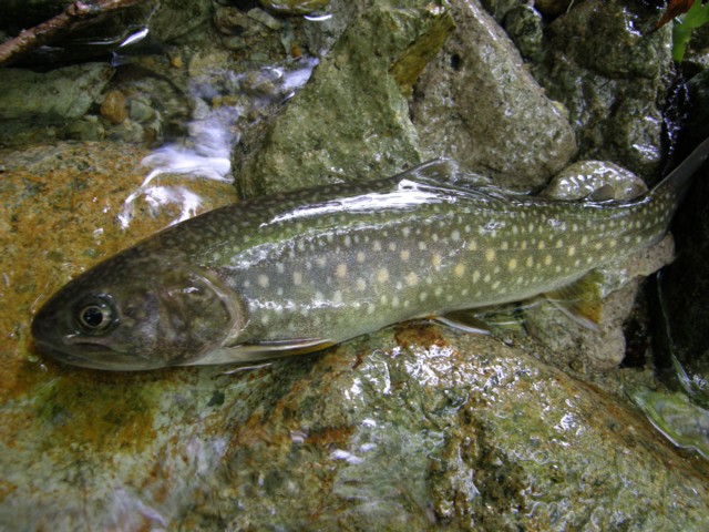 d0134473_1505490.jpg