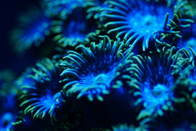 c0106977_2123364.jpg