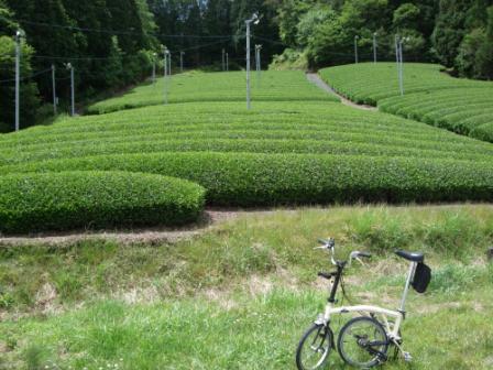 行けるところまで行ってみよう！！第8弾（なにわ・淀川・木津自転車道～和束～信楽～膳所～大津）_e0138081_16523280.jpg
