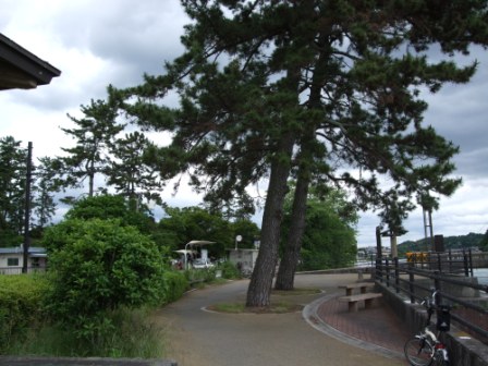行けるところまで行ってみよう！！第8弾（なにわ・淀川・木津自転車道～和束～信楽～膳所～大津）_e0138081_17369.jpg
