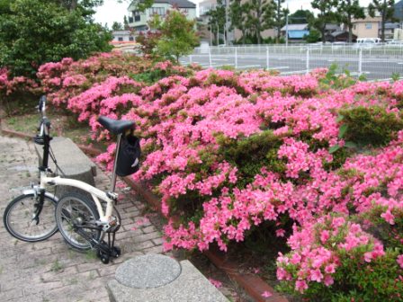 行けるところまで行ってみよう！！第8弾（なにわ・淀川・木津自転車道～和束～信楽～膳所～大津）_e0138081_1743667.jpg