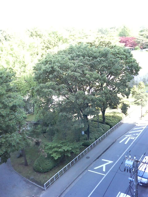 こんにちわ!_f0177390_17264421.jpg