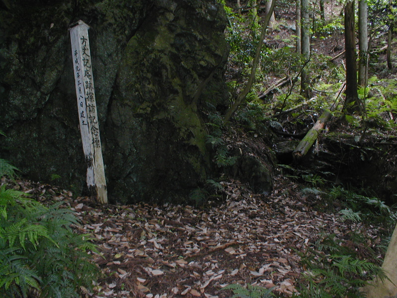 e0116694_22222369.jpg