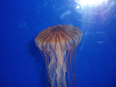 f0130894_20134135.jpg