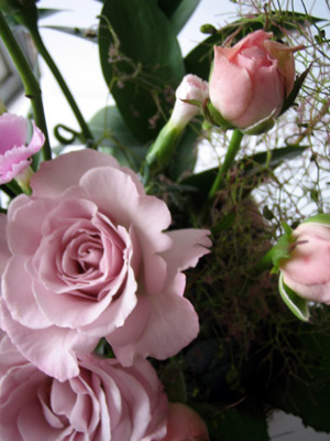 b0007895_8594510.jpg