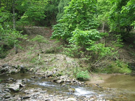 c0147398_22262670.jpg