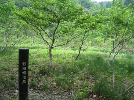 c0147398_223272.jpg
