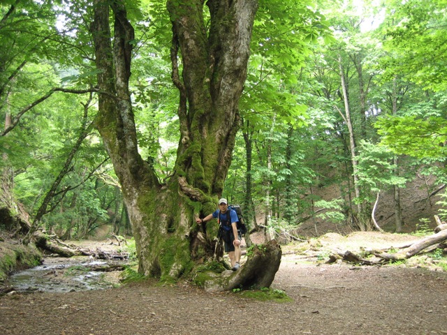 c0147398_22335124.jpg