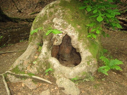 c0147398_22342817.jpg
