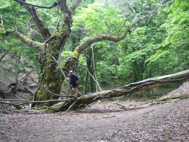 c0147398_2234962.jpg
