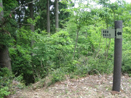 c0147398_22374038.jpg