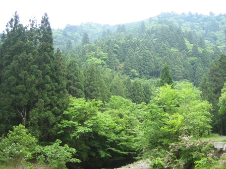 c0147398_22414319.jpg