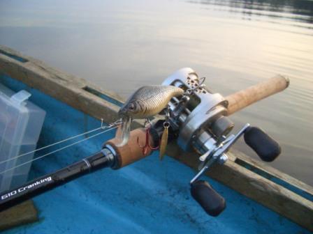 釣果報告 テストレイク Blade Crank M5R _d0145899_821899.jpg