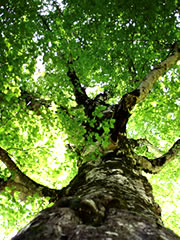 e0114015_143843.jpg