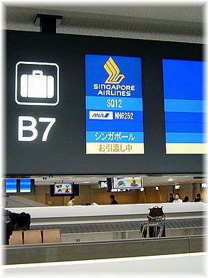 d0149617_17522679.jpg