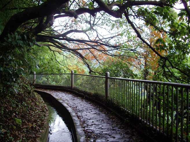 貴子坑親山步道_e0024817_19492024.jpg