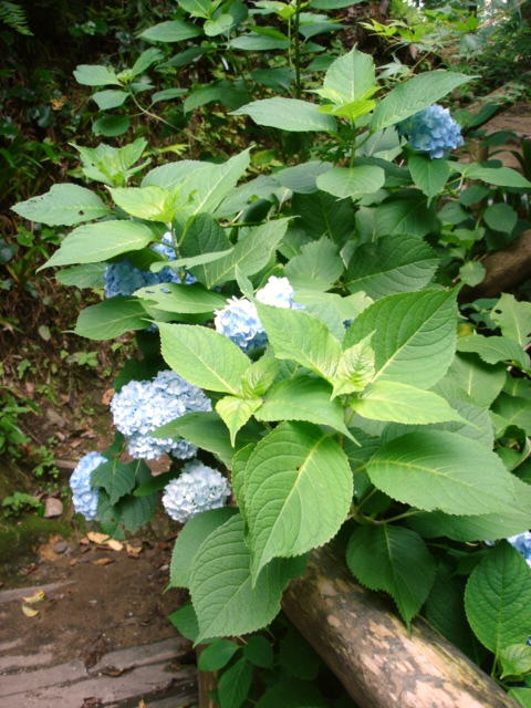 d0060828_16411889.jpg