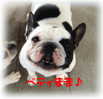 b0078030_22575670.gif