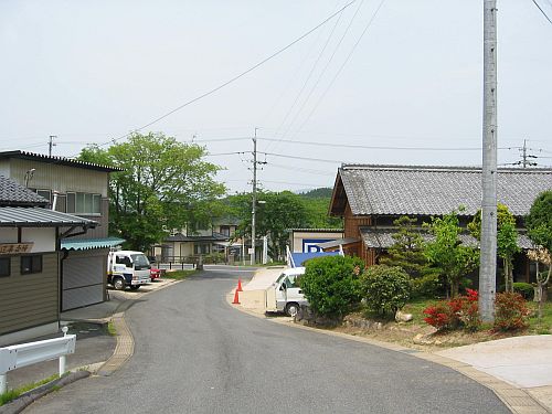 銭亀_f0076731_1834920.jpg