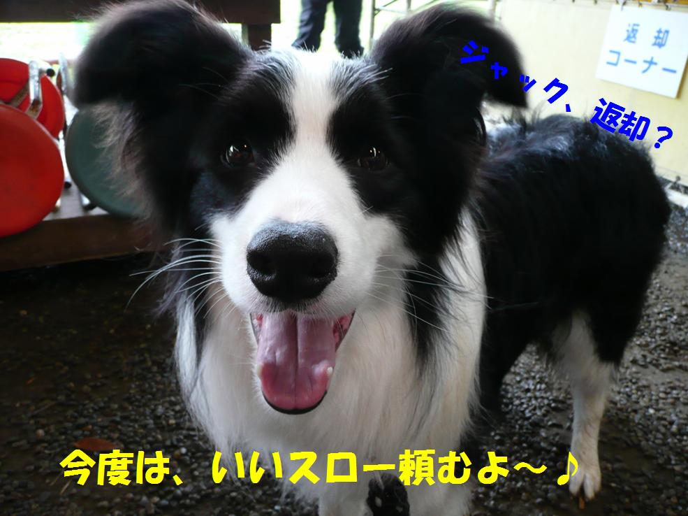 c0147241_9242224.jpg