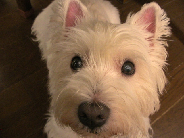 f0034444_01216.jpg