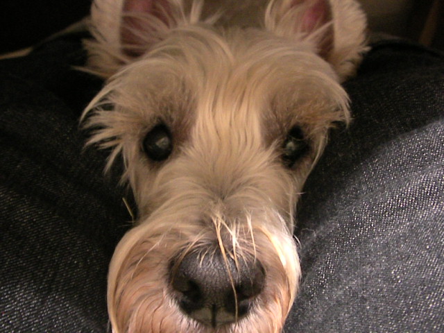f0034444_02195.jpg