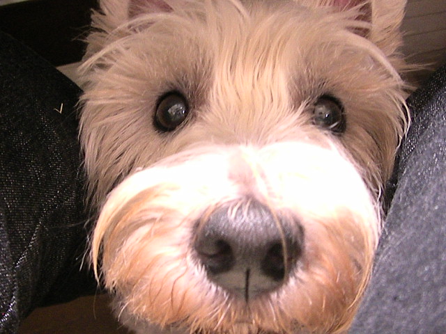 f0034444_02429.jpg