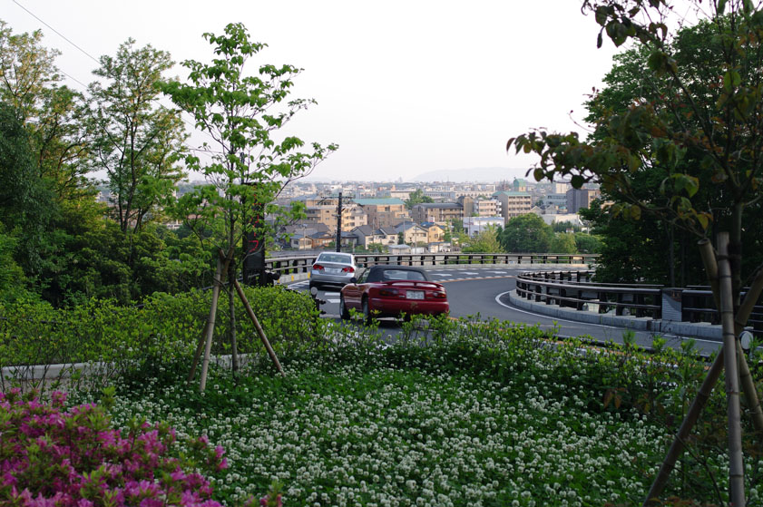 f0152550_1424463.jpg