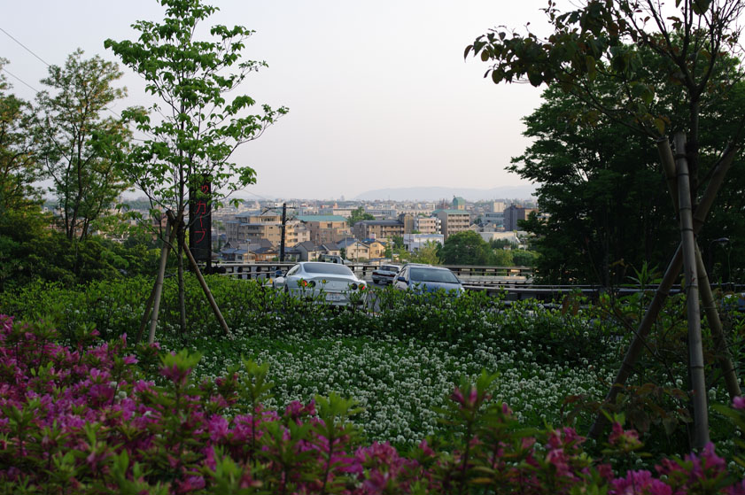 f0152550_14244656.jpg