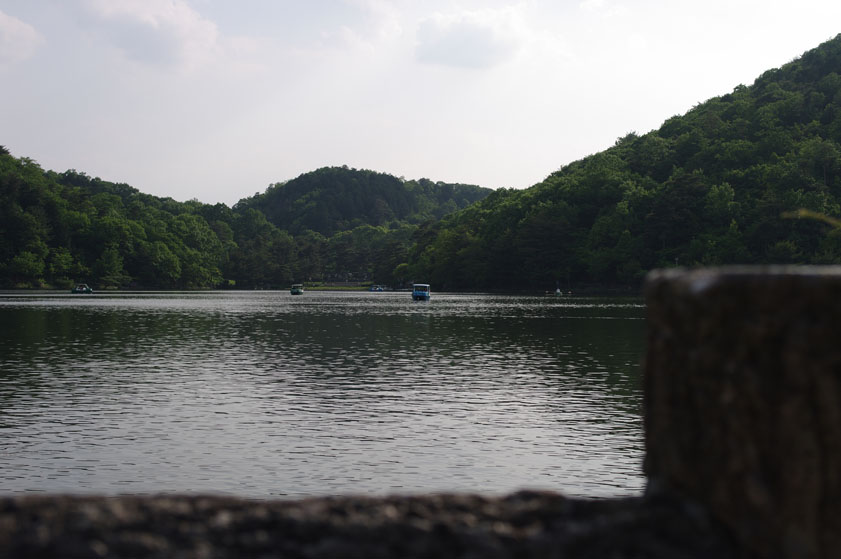 f0152550_1443994.jpg