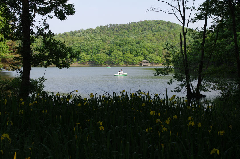 f0152550_147407.jpg