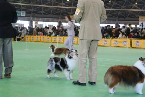 ジャムちんのおなか_f0126965_9175635.jpg