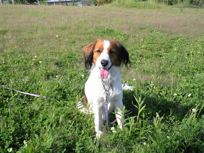 c0075585_0292483.jpg