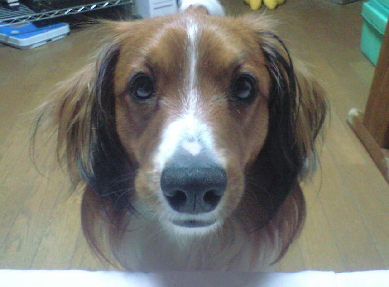 c0075585_03474.jpg