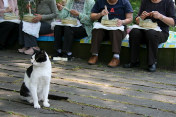 大阪ねこまみれの旅（２日目）　４_d0142191_2015347.jpg