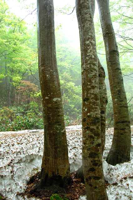 c0134295_03336.jpg
