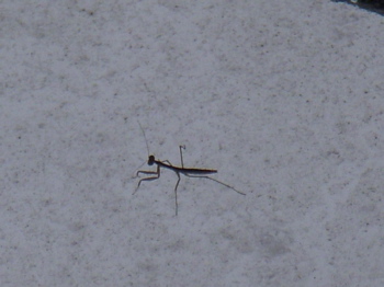 c0149195_2040526.jpg