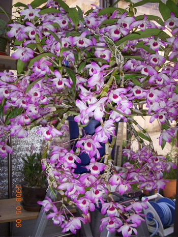 c0149195_20414130.jpg