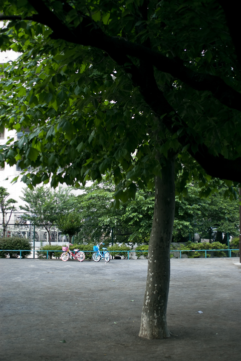 c0120903_23505363.jpg