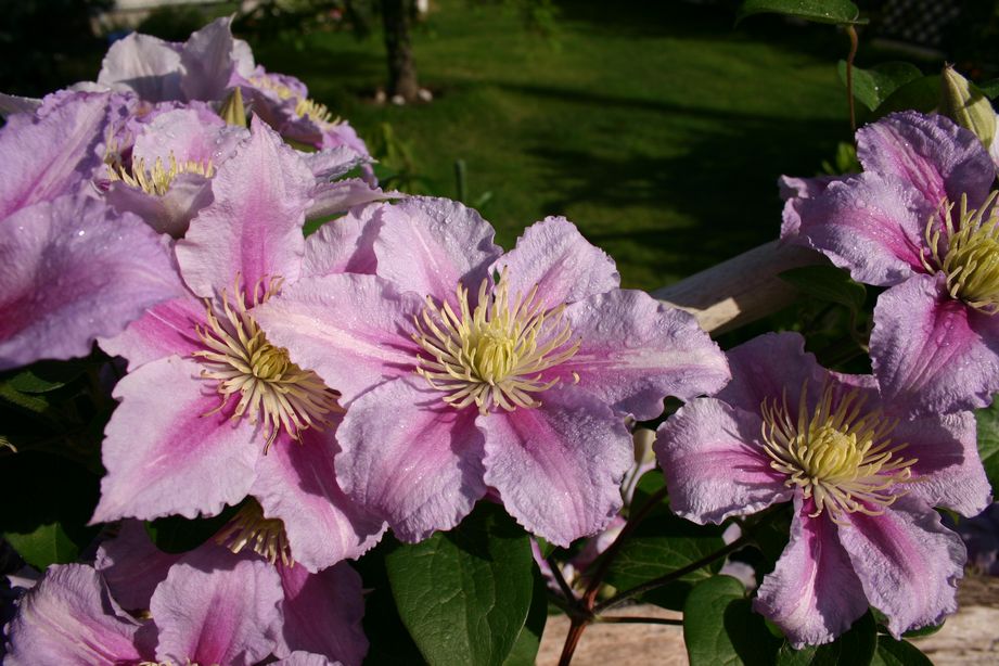 f0011412_2212870.jpg