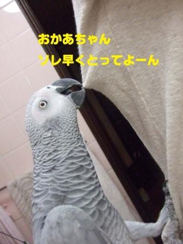 c0133013_09314.jpg