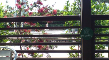 b0087914_013779.jpg