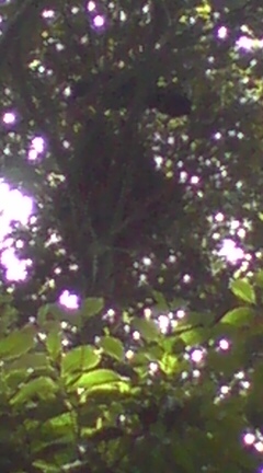 b0087914_0143343.jpg